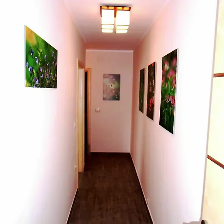Apartmani Romano